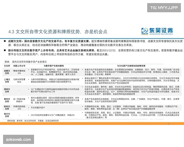 体育数字资产合规审查流程严格化,防范法律风险